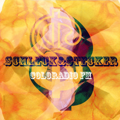Schleck^Stecker live@Coloradio Dresden