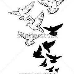 FlyGUyWy Ft S-Haze Hit Yo Birdy