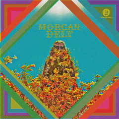 Morgan Delt - Make My Grey Brain Green