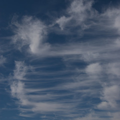 whirling helix (first draft)