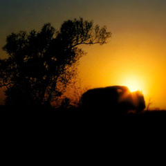 Kalahari