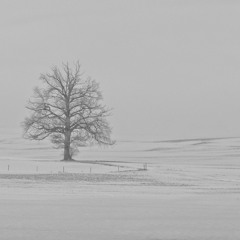 sous la pluie dimanche