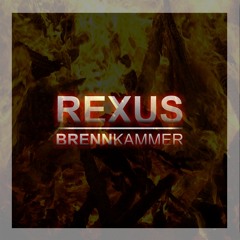 Rexus - Brennkammer (Snippet)