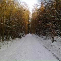 Legacy System - Werner