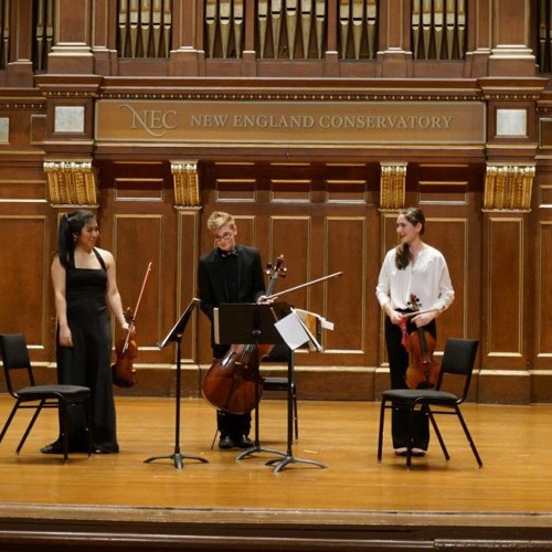 2-01 String Trio, op. 45 Part 1