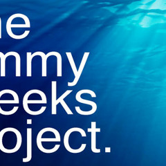 The Jimmy Weeks Project - In My Dreams