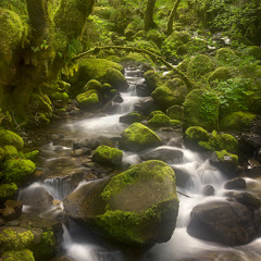 Break Science - Forest Of Illumination (Blue Print Remix)