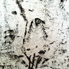 Loops And Samples Royalty Free