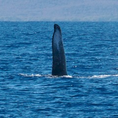 Past the waters (demo edit)