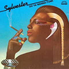 Do you wanna funk -  end remix - Sylvester  -Hugo Navarro-