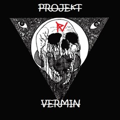 Projekt Vermin - Mansion