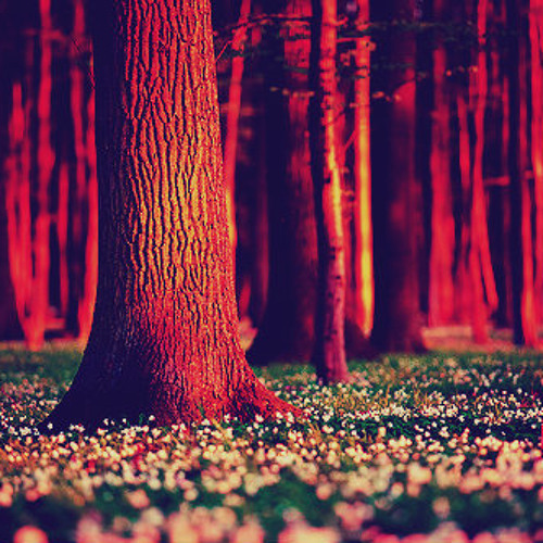 أندريهً ريوً -  دخولً الجنةً .