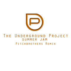 Summer Jam (Pitchbrothers Remix) [Radio Version]