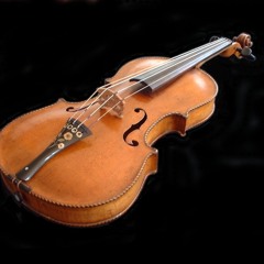 Swedish House Mafia- Don't You Worry Child (Violine Cover)