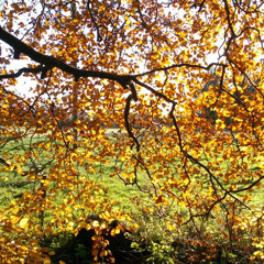 This Terminal Empire - Good Dancers