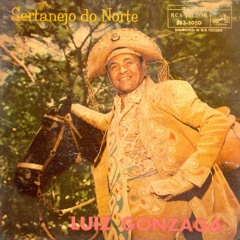 Luiz Gonzaga - Sertanejo do Norte