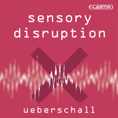 Ueberschall - Sensory Disruption