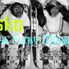 squirrel. - The Funky Monkeys (ill dinya mix)