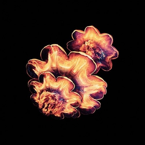 Robots Don't Sleep "So Bad (Synkro Dub Mix)"