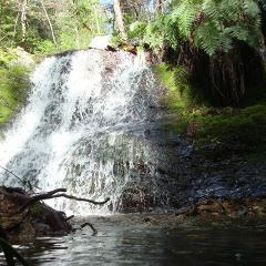 Gary Allen-I'm loving you