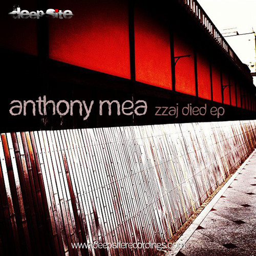 [DS011] Anthony Mea - Zzaj 80's (Bootleg Mix) [FREE DOWNLOAD]