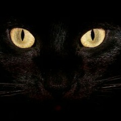 [albertolatorre dj.] en < ROW 14 >(session) (hard progressive) KM,186,1,BARCELONA 10/11/2012