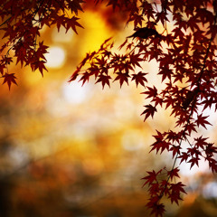 明明就 钢琴版 Cover