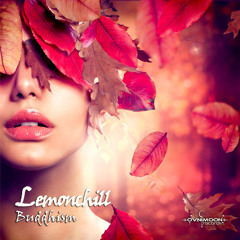 relax, chill-out and psy-ambient