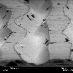 ElePhantoms txJ fT siMil eLs