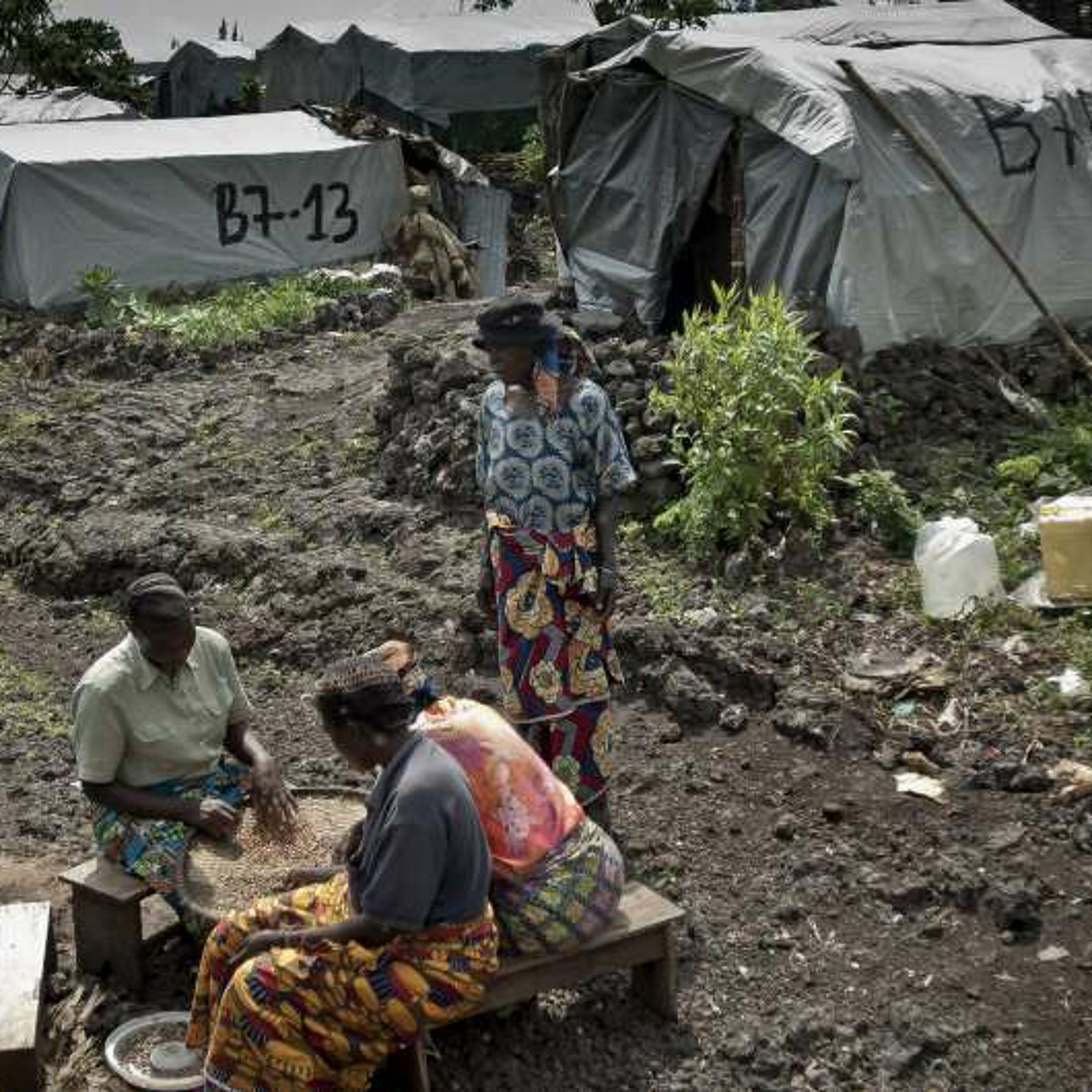 UNHCR, UN Refugee Agency