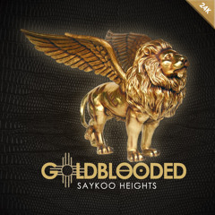 SAYKOO HEIGHTS - GOLBLOODED- 24K Edition - 02 BUSINESS
