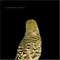 Andrew Bird - Imitosis (Four Tet Remix)