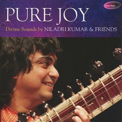 Pure Calmness - Raag Charukeshi - Instrumental - Niladri Kumar
