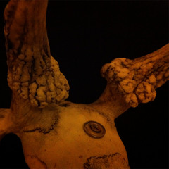 BCR013 Bare & Kind - Rare EP