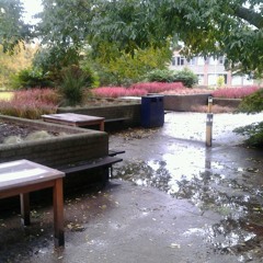 Snowstorm Galaxie 500 at Reading