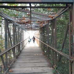 gronxkey - well wishes