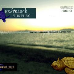 MeatSauce - Drinking Problems (FREE DNLD)