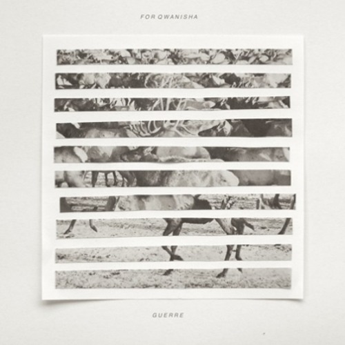 Guerre "For Qwanisha"