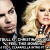 Pitbull - Feel This Moment ft. Christina Aguilera (DJ Ted L Clapapella Intro ft. A-Ha)
