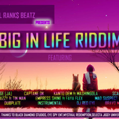 BIG IN LIFE RIDDIM MIX MAY 2012 (DUBPLATE SOUND)