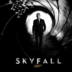 skyfall remix