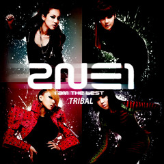 2NE1 vs Fist - I AM THE TRIBAL BEST (Joshua D Vocal Mash)