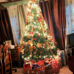 FoxyReign - Christmas Is