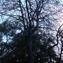 Daniel Floor - Deepest