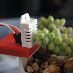 Pulsu(m)Plantae versión OSC