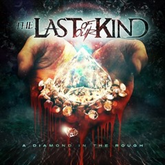 The Last Of Our Kind - Picture Perfect Cover