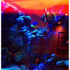 Run Around - Gunning For 88