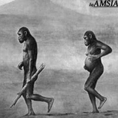 (AMSIA 2007 Australopithecus) Clase Social