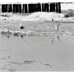 Seasidetrip 04 by ColtEP