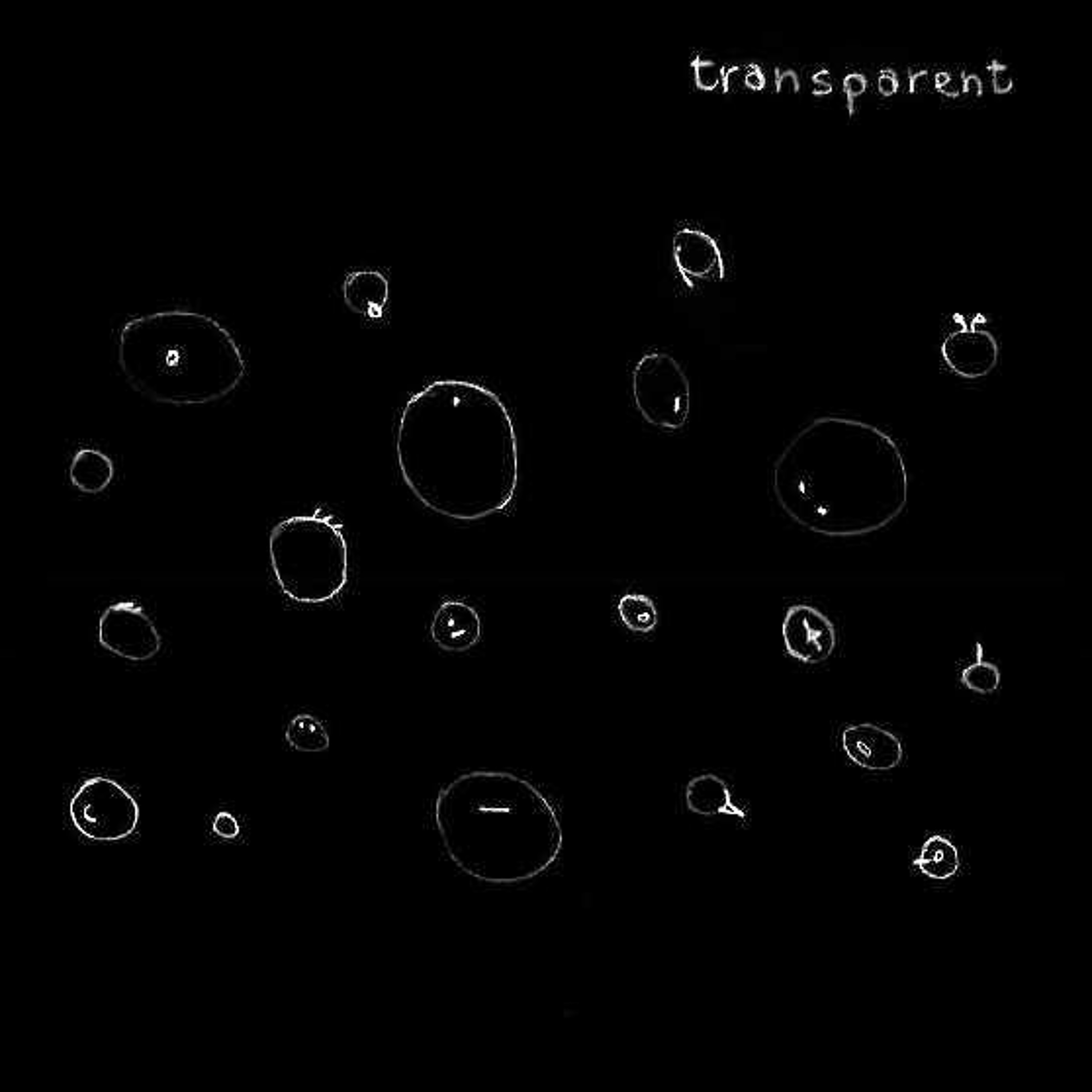 transparent episode artwork
